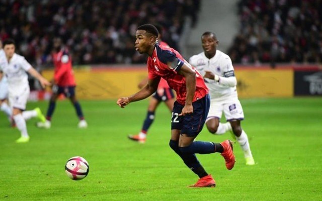 现虽有亮点 现虽有亮点