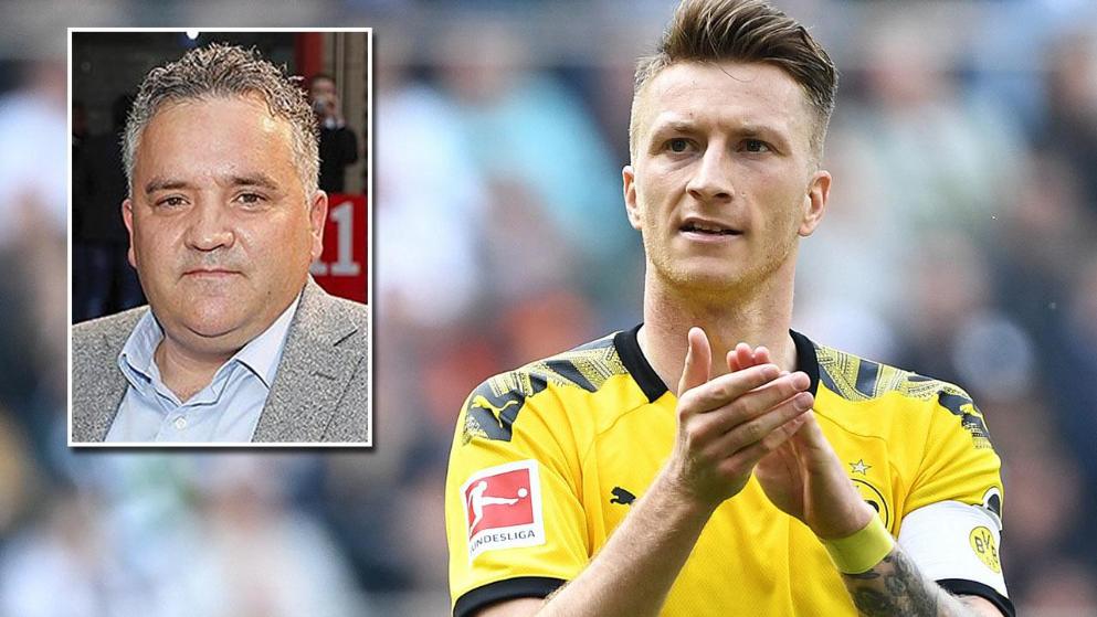 前额叶皮层 前额叶皮层